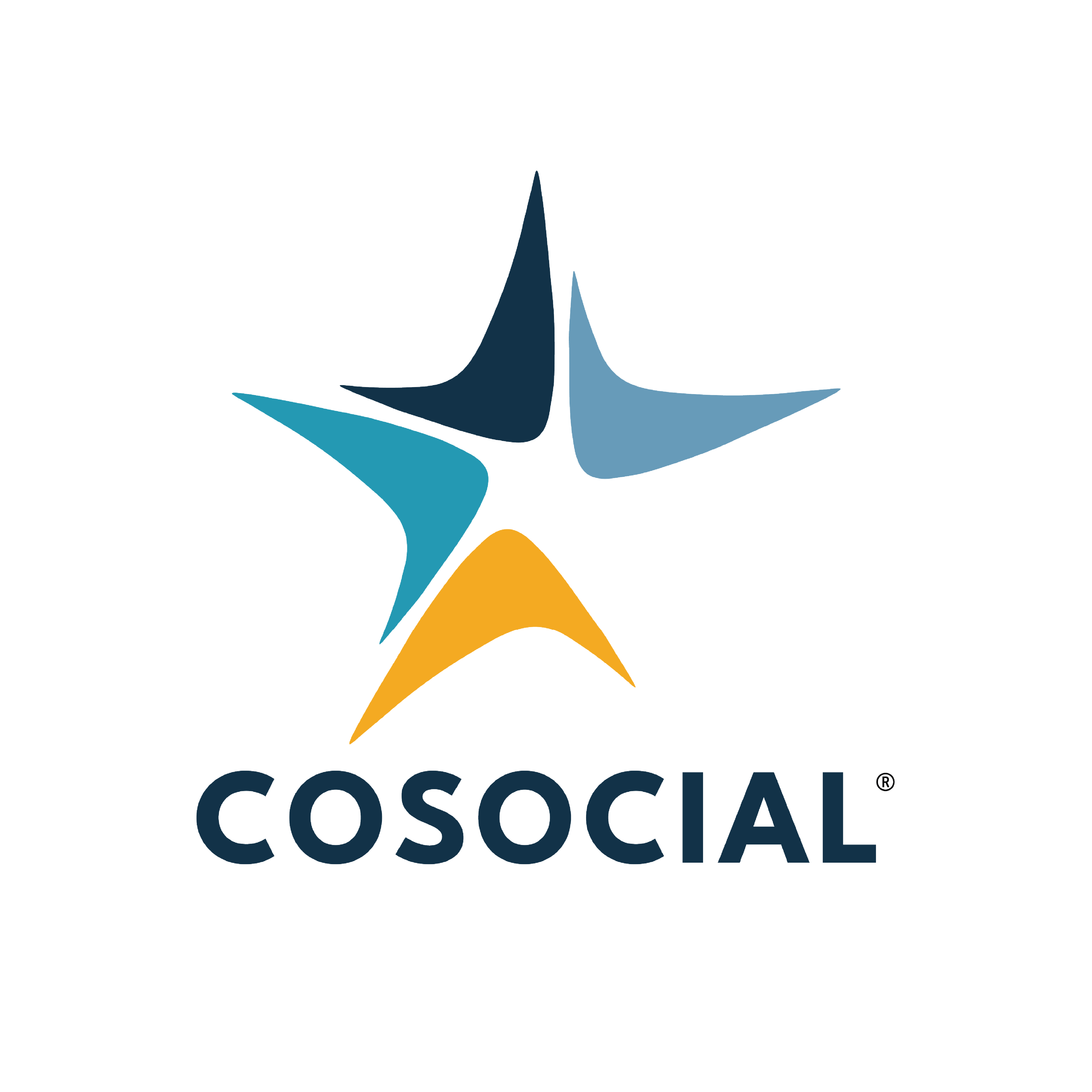 CoSocial, aliado estratégico de AustralMetrics